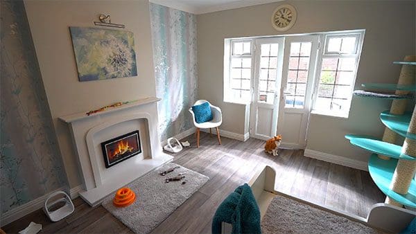 Eucalyptus Cat Suite at The Grove Luxury Cat Hotel in Staffordshire, UK